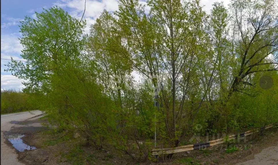 Участок в Новосибирская область, Новосибирский район, Барышевский ... - Фото 2