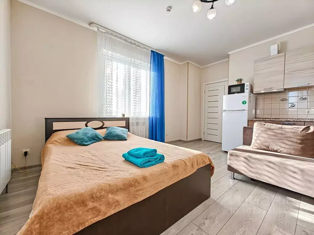 Студия Новосибирская область, Новосибирск ул. Фрунзе, 49/2 (32.0 м) - Фото 0