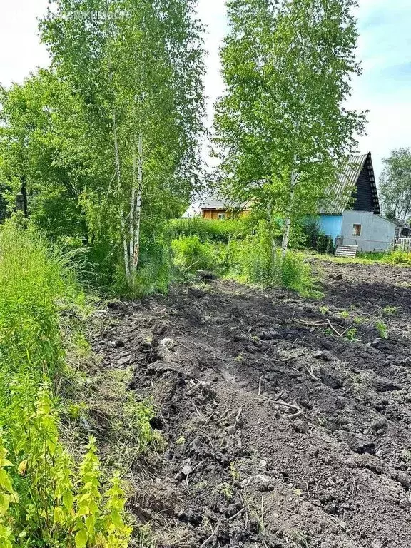 Участок в Ашмарино, Школьная улица (6 м) - Фото 1
