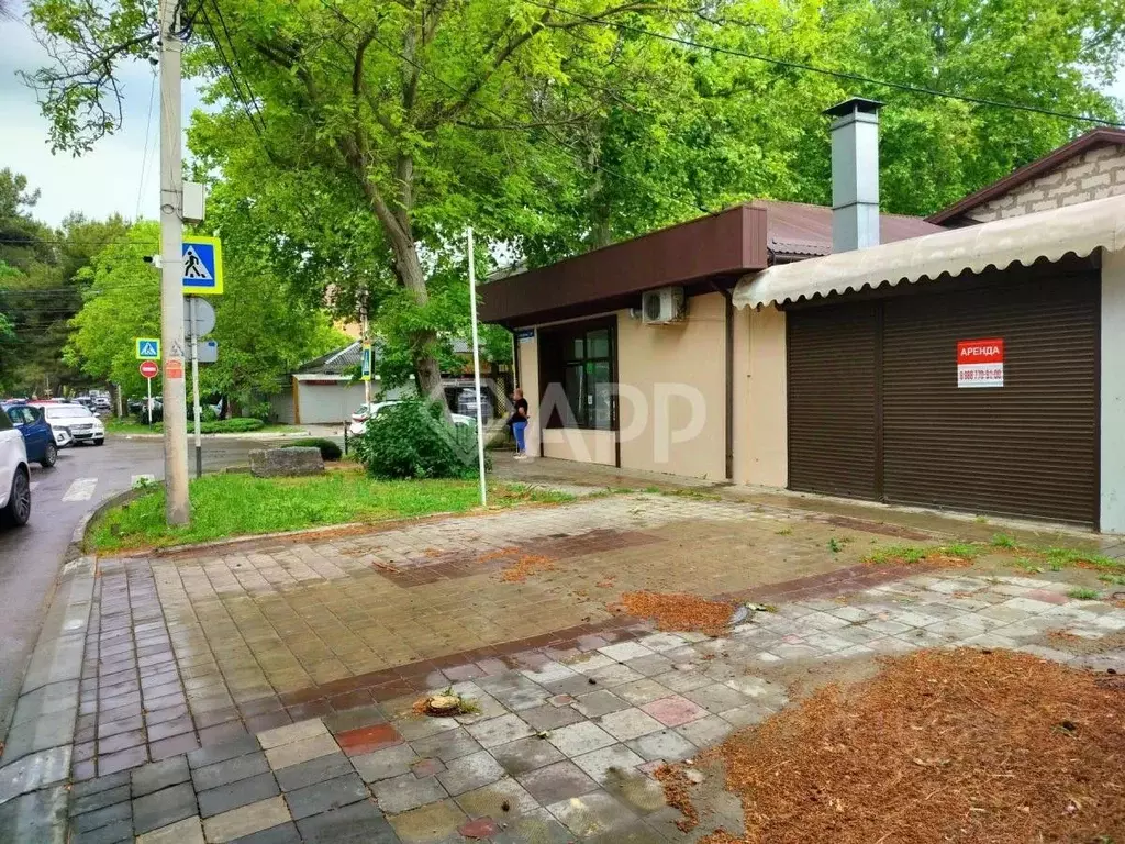 Помещение свободного назначения в Краснодарский край, Анапа ул. ... - Фото 1