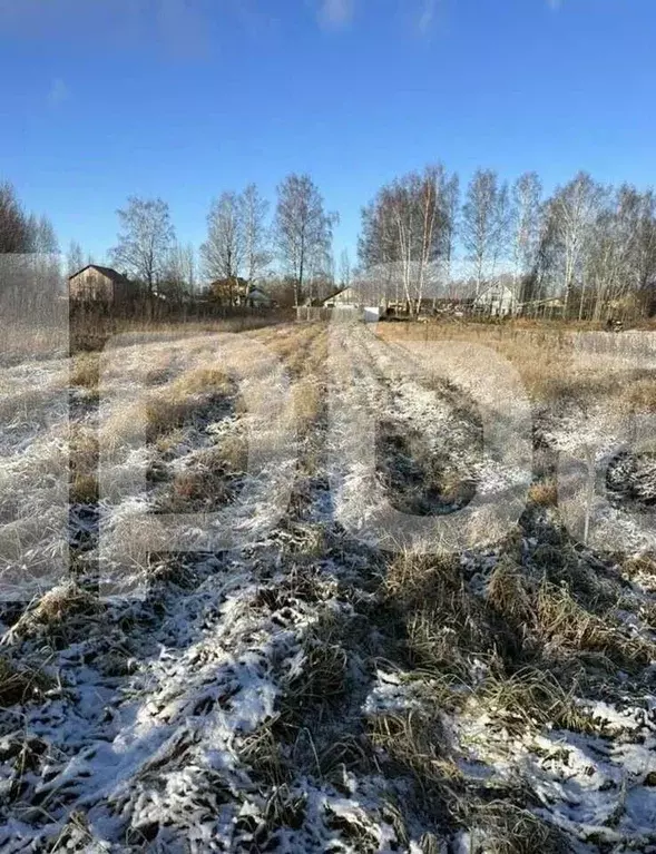 Участок в Костромская область, Костромской район, Середняковское ... - Фото 0