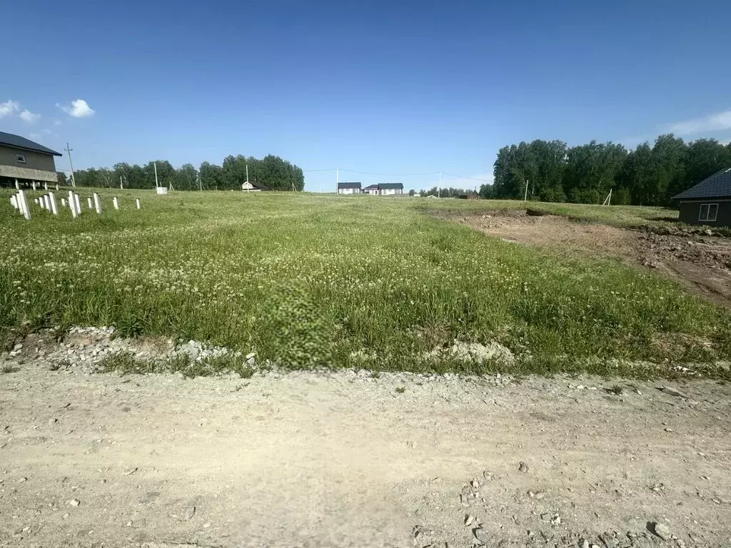 Участок в Новосибирская область, Новосибирский район, Раздольненский ... - Фото 1