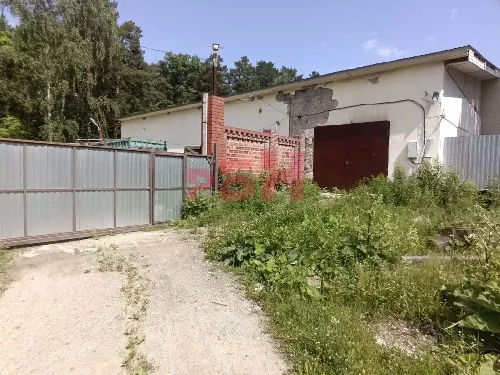 Склад в Свердловская область, Екатеринбург пер. Кустовой, 14Б (53 м) - Фото 0