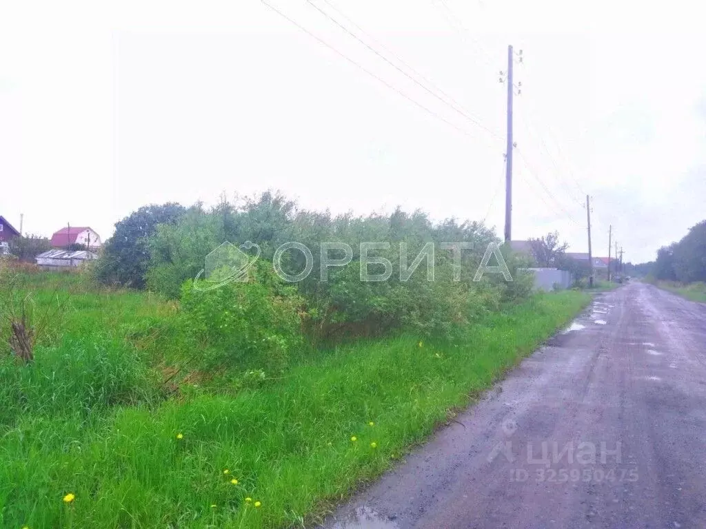 Участок в Тюменская область, Нижнетавдинский муниципальный округ, д. ... - Фото 2