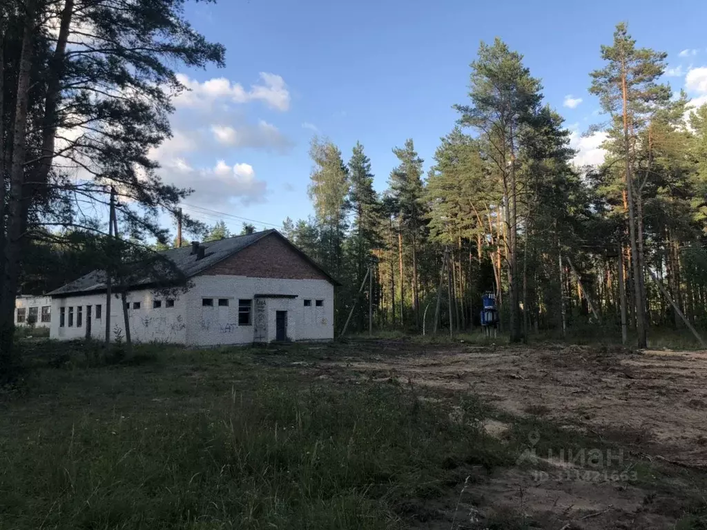 Помещение свободного назначения в Ленинградская область, Лужский ... - Фото 1