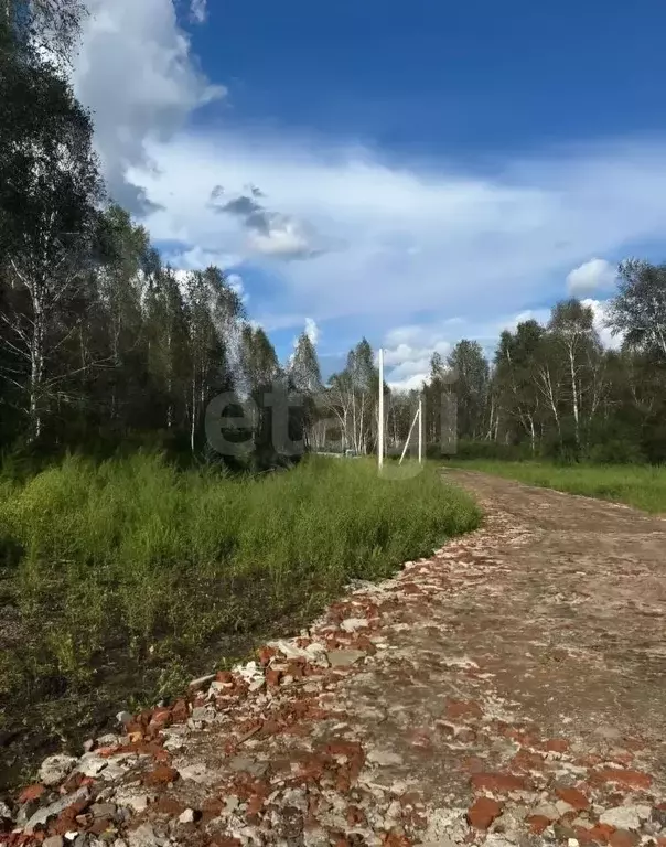 Участок в Новосибирская область, Новосибирский район, Станционный ... - Фото 1