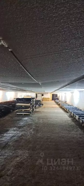 Помещение свободного назначения в Волгоградская область, Городище рп ... - Фото 1