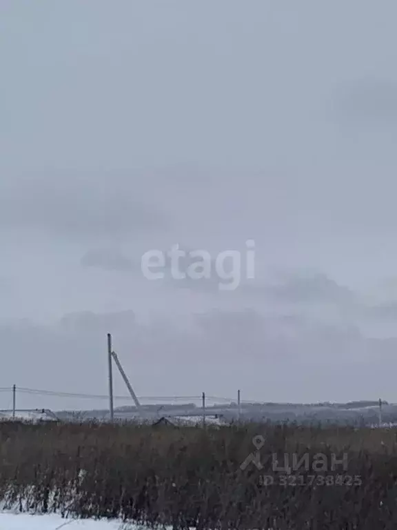 Участок в Белгородская область, Белгородский район, Головинское с/пос, ... - Фото 1