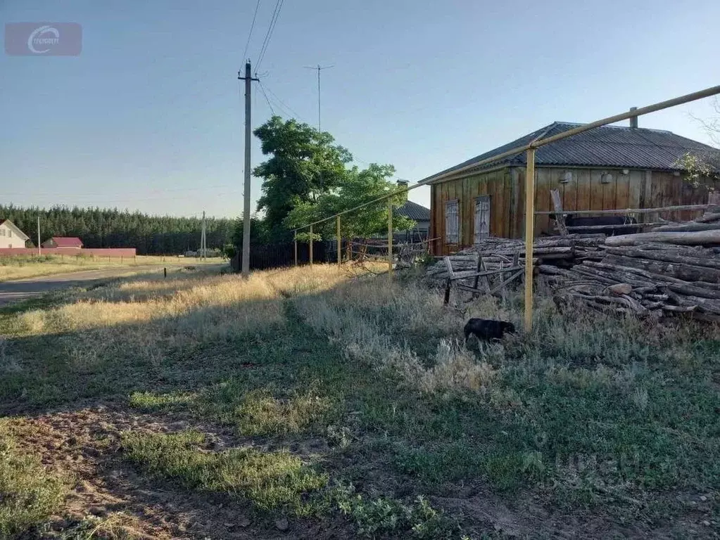 Дом в Воронежская область, Лискинский район, Петропавловское с/пос, с. ... - Фото 2