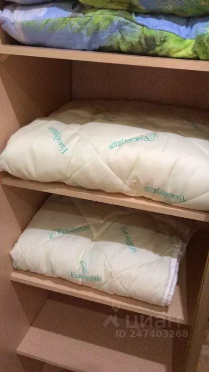 1-к кв. Кировская область, Киров ул. Ленина, 191 (41.0 м) - Фото 2