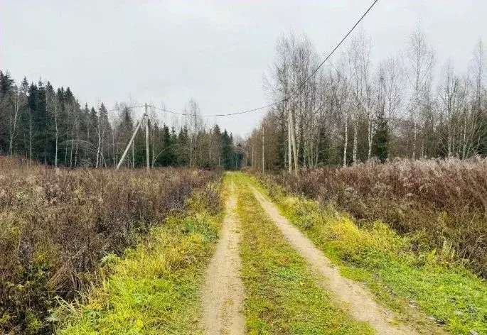 Участок в Московская область, Клин городской округ, Подсолнухи кп  ... - Фото 2