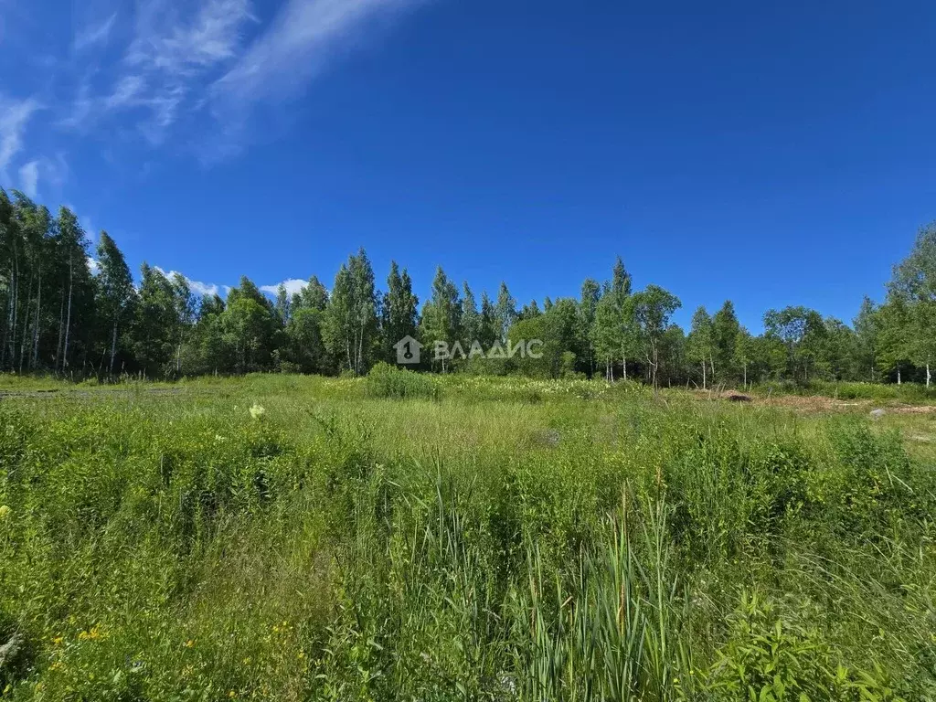 Участок в Ярославская область, Рыбинск ул. Ануфриевская (12.0 сот.) - Фото 1