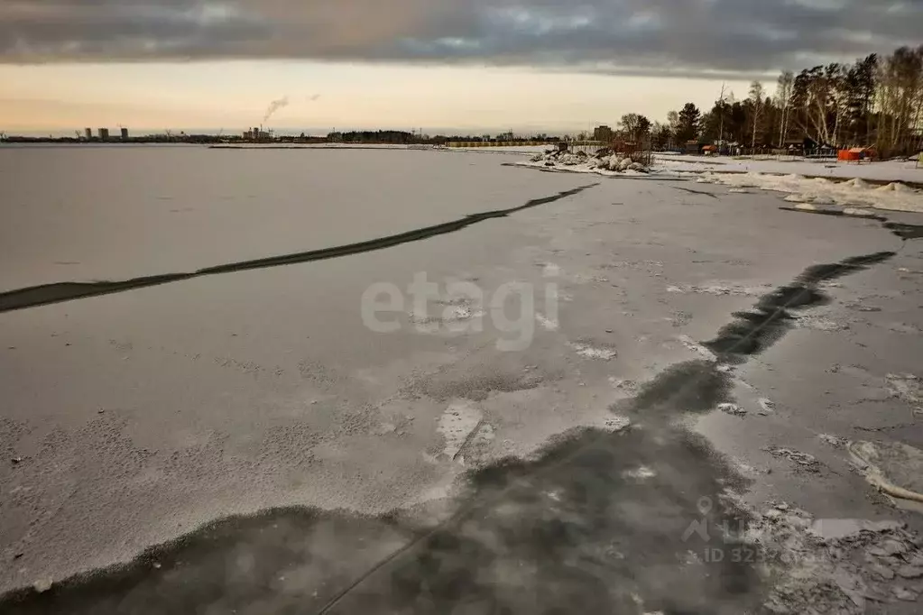 Участок в Новосибирская область, Новосибирский район, Кубовинский ... - Фото 1