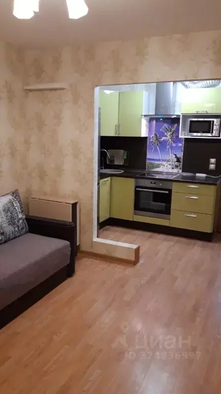 Студия Санкт-Петербург пос. Парголово, Заречная ул., 19к1 (27.3 м) - Фото 2