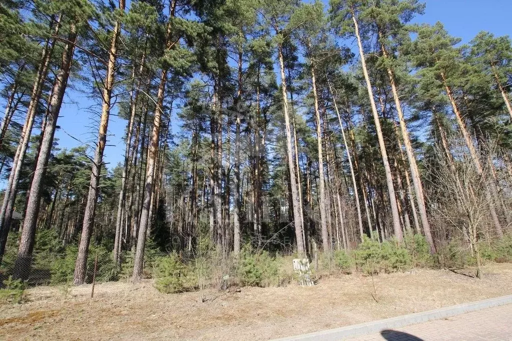 Участок в Московская область, Одинцовский городской округ, пос. ... - Фото 1