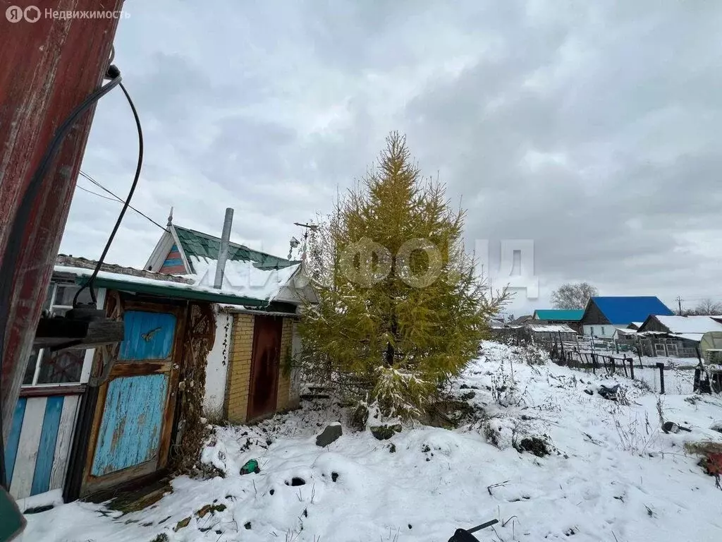 Дом в Черепаново, улица Жуковского (19.6 м) - Фото 1