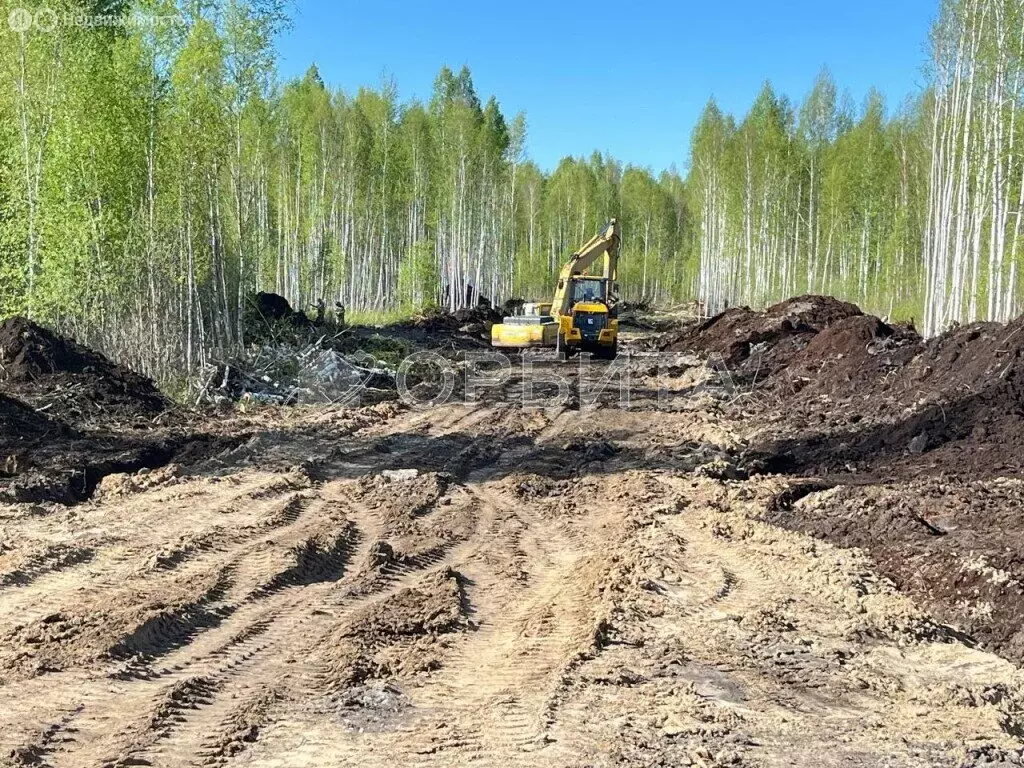 Участок в Исетский район, деревня Решетникова (6 м) - Фото 0