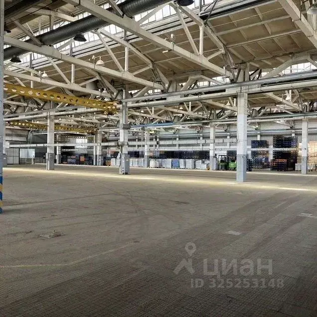 Склад в Москва Рябиновая ул., 38Б (1000 м) - Фото 1