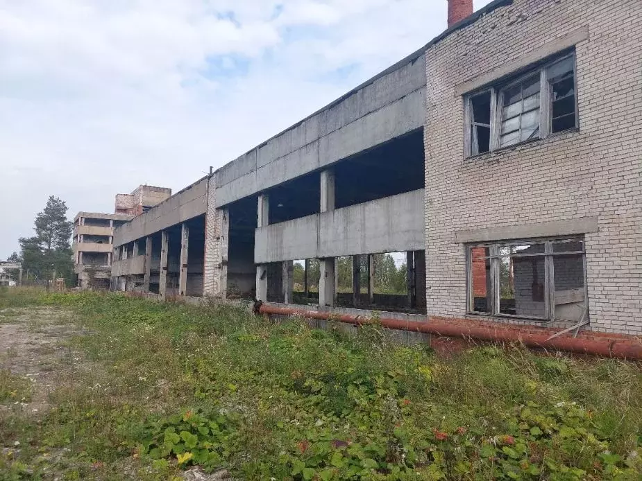 Производственное помещение в Ленинградская область, Гатчинский ... - Фото 1