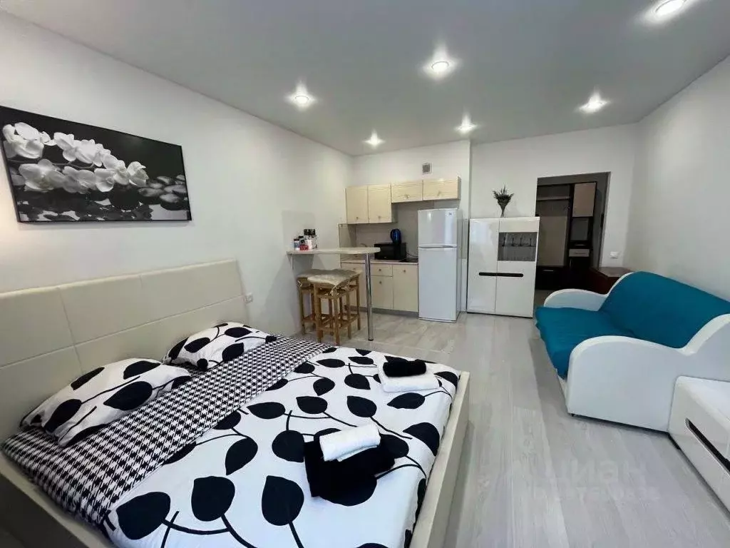 1-к кв. Московская область, Ногинск Богородский городской округ, ул. ... - Фото 2