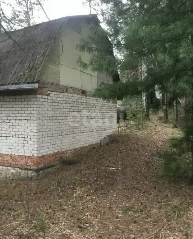 Участок в Колпашевский район, СНТ Елочка (6.9 м) - Фото 1