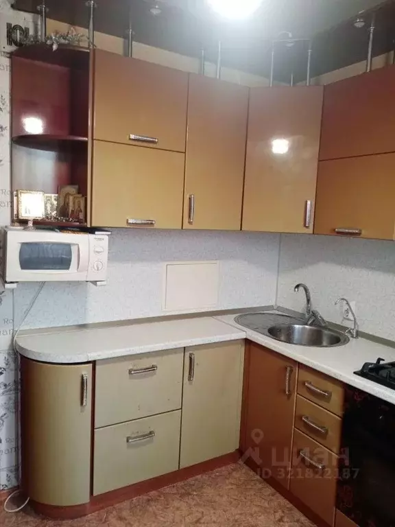 1-к кв. Липецкая область, Липецк ул. Вилли Огнева, 4 (33.1 м) - Фото 1