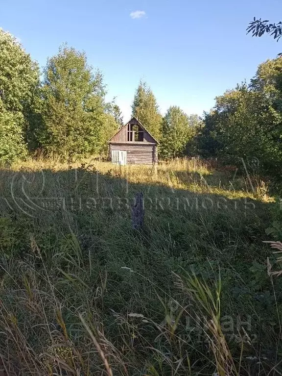 Ретюнь. Ретюнь ленинградская область. ретюнь фото деревня.