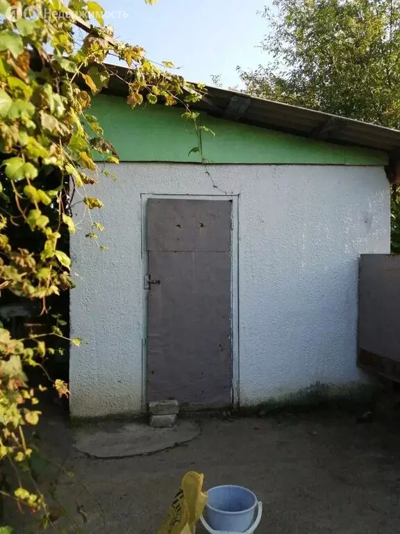 Дом в Амурская область, Благовещенский муниципальный округ, село ... - Фото 1