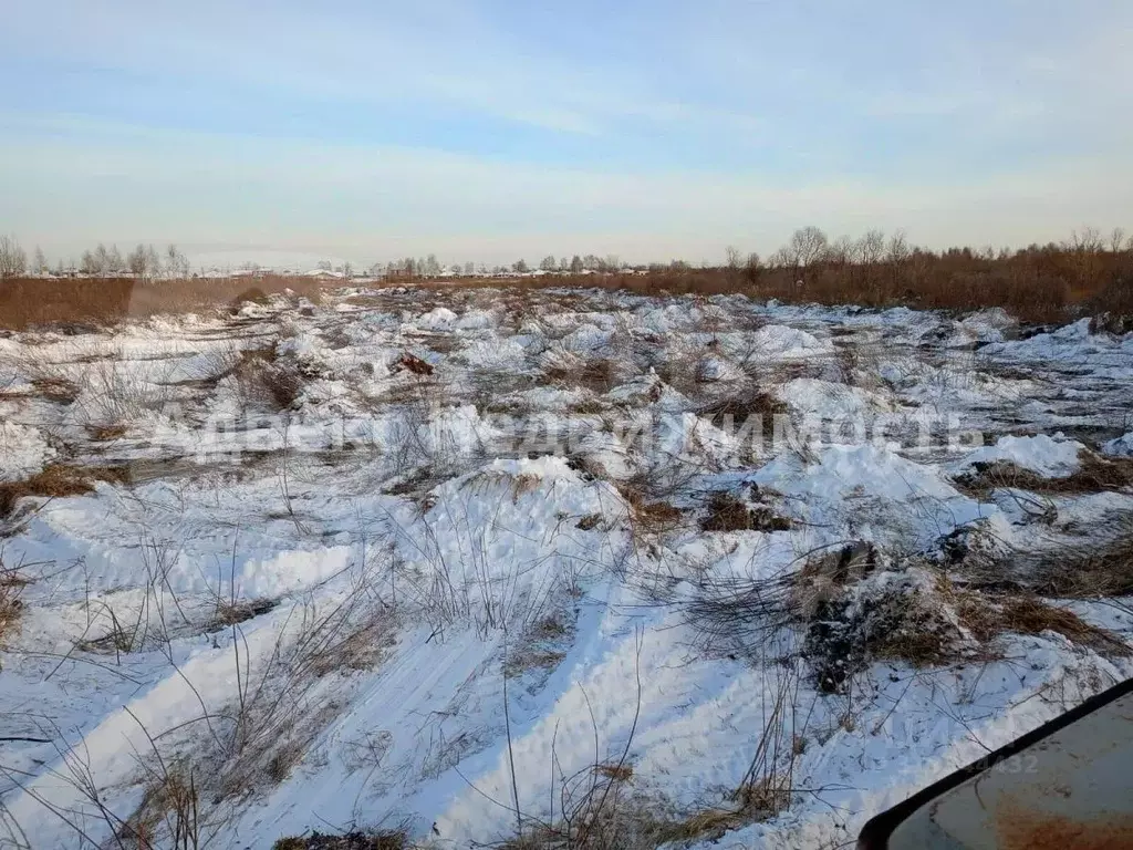 Участок в Тюменская область, Тюмень  (220.0 сот.) - Фото 2