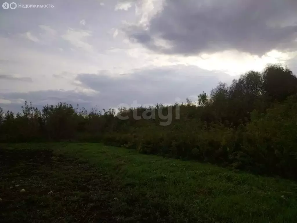 Участок в Старобелокуриха, Советская улица (20 м) - Фото 1