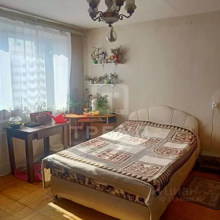 1-к кв. Санкт-Петербург Суздальский просп., 9 (33.7 м) - Фото 0