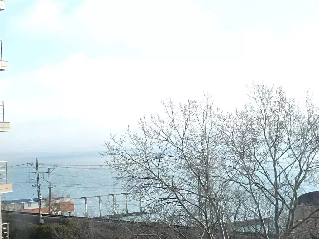 Студия Краснодарский край, Сочи Мамайка мкр, ул. Крымская, 89 (19.0 м) - Фото 1