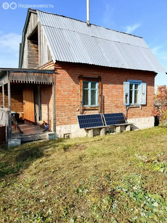 Участок в Новосибирская область, Коченёвский муниципальный район, село ... - Фото 2