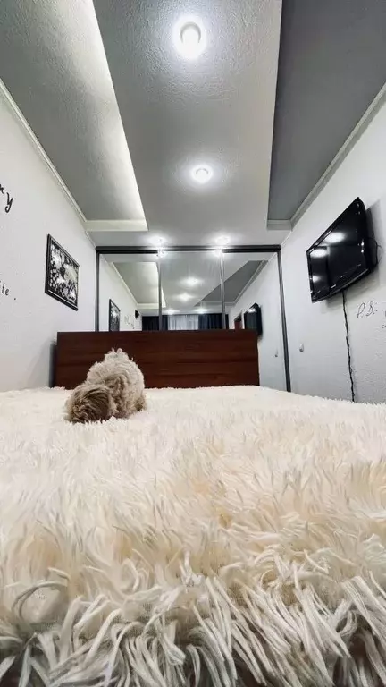 2-к кв. Мурманская область, Мурманск ул. Свердлова, 54 (45.0 м) - Фото 1