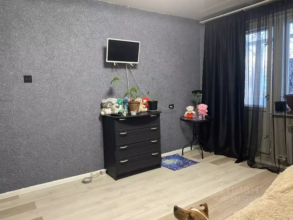 1-к кв. Ивановская область, Кинешма ул. Менделеева, 24 (35.0 м) - Фото 1