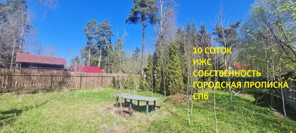 Купить Участок В Белоострове Недорого