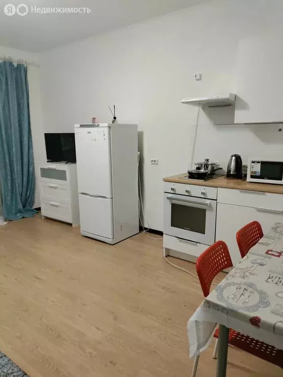 Квартира-студия: Санкт-Петербург, Комендантский проспект, 69 (24 м) - Фото 1