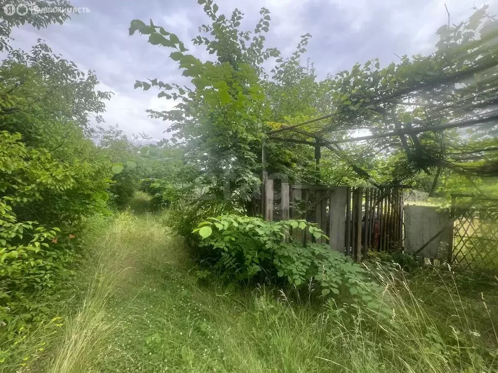 Участок в Губкин, СТ Журавушка (6 м) - Фото 2