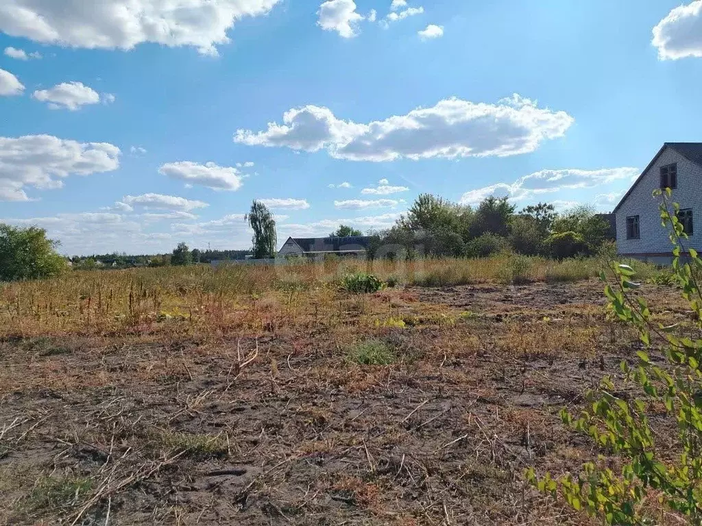 Участок в Белгородская область, Поселок Чернянка городское поселение, ... - Фото 1