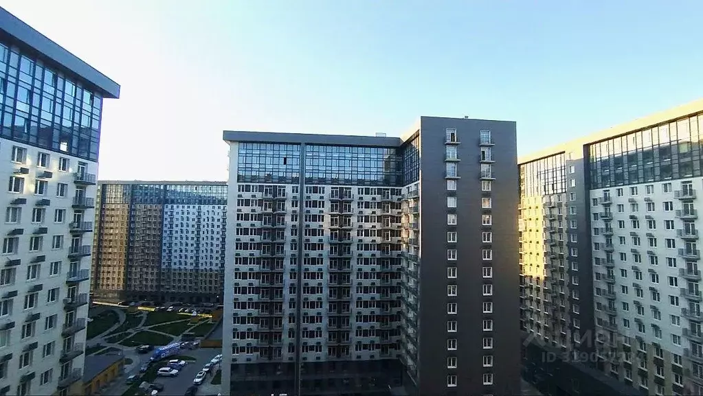 Студия Москва Березовая аллея, 19к1 (25.6 м) - Фото 0