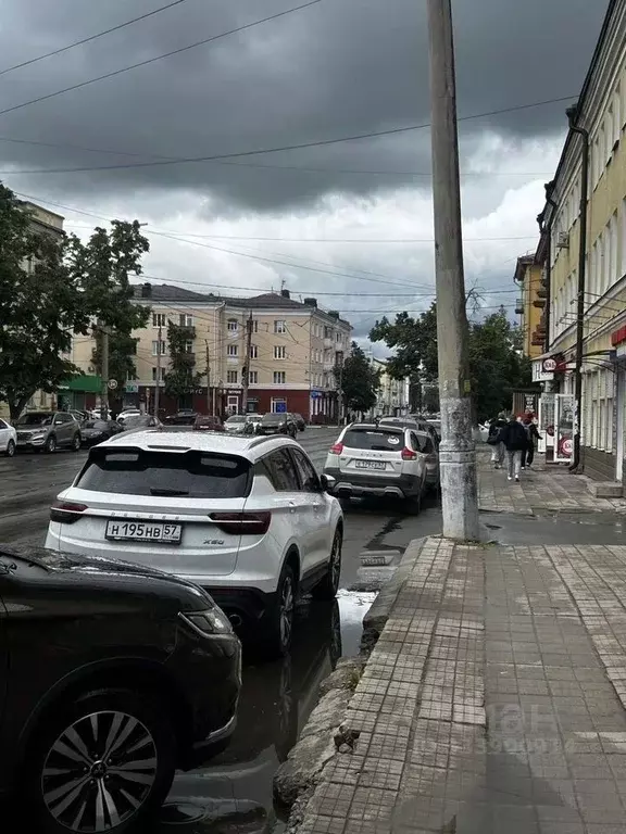 Помещение свободного назначения в Орловская область, Орел ул. Пушкина, ... - Фото 2