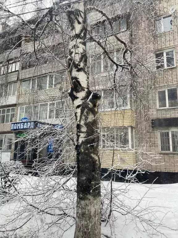 3-комнатная квартира: Северск, Коммунистический проспект, 8 (60 м) - Фото 2