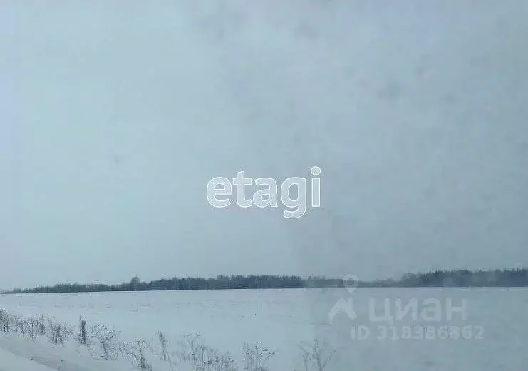 Участок в Курганская область, Шадринский муниципальный округ, с. Ключи ... - Фото 1