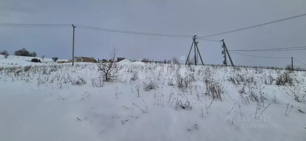Участок в Алтай, Майминский район, пос. Алферово ул. И.А. Шаркова, 33 ... - Фото 1