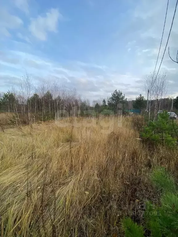 Участок в Московская область, Раменский городской округ, д. Бисерово ... - Фото 1