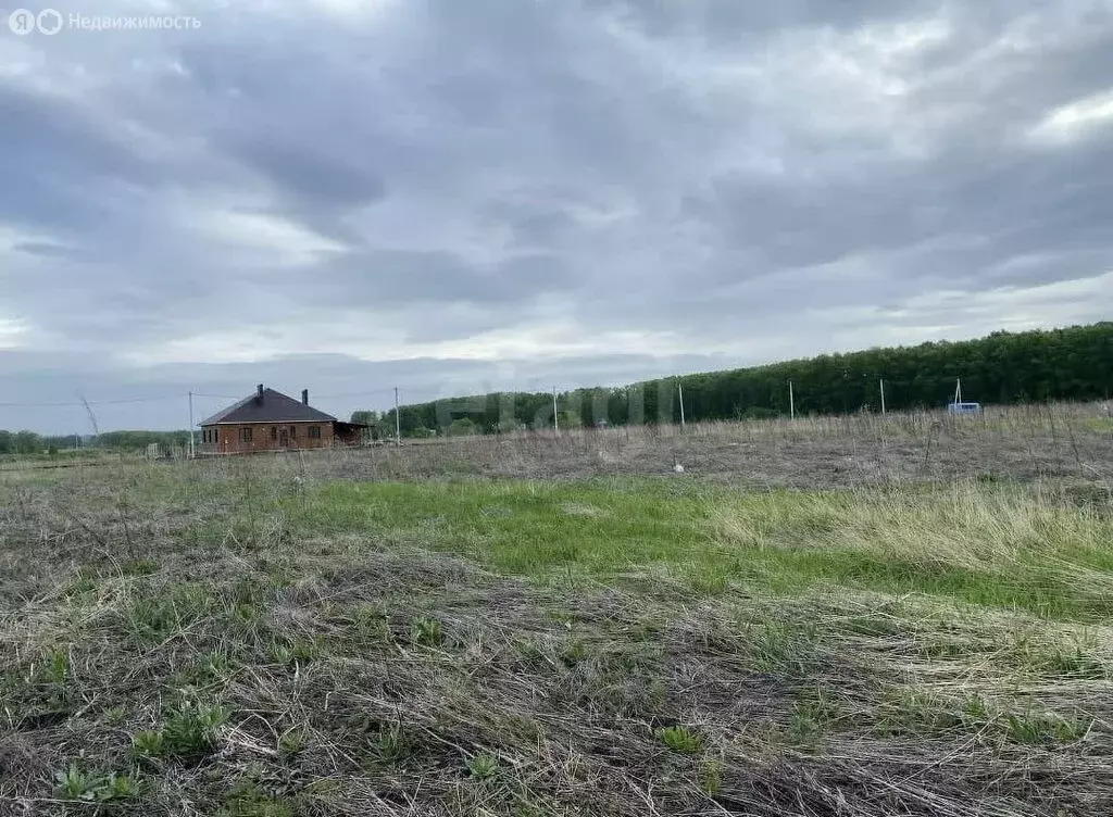 Участок в село Красноусольский, микрорайон Чесноковка (15.14 м) - Фото 1