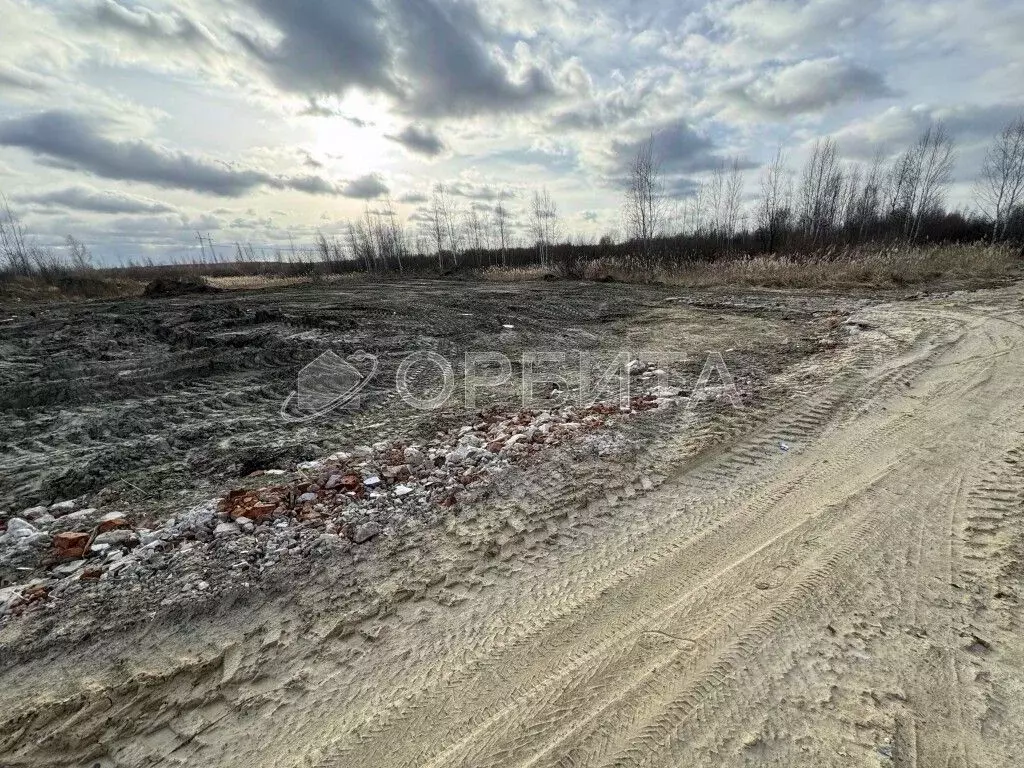 Участок в Тюменская область, Тюмень Березняки СНТ,  (6.6 сот.) - Фото 1