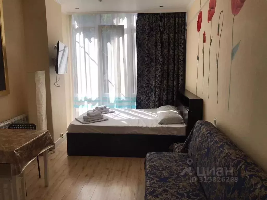 Студия Краснодарский край, Сочи Курортный просп., 75к1 (20.0 м) - Фото 1
