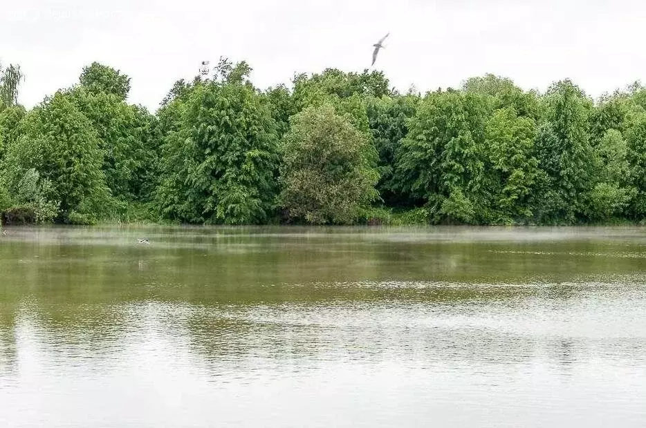 Участок в село Щапово, Запрудная улица (15 м) - Фото 1