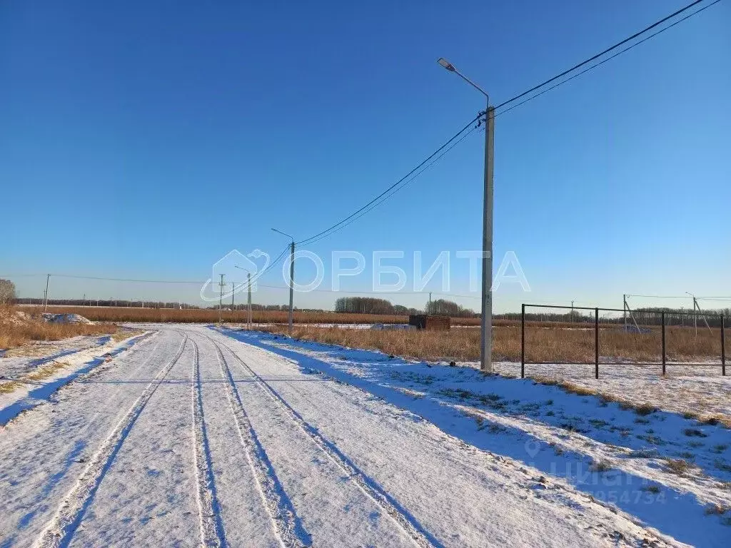 Участок в Тюменская область, Тюменский муниципальный округ, Онегин кп  ... - Фото 2